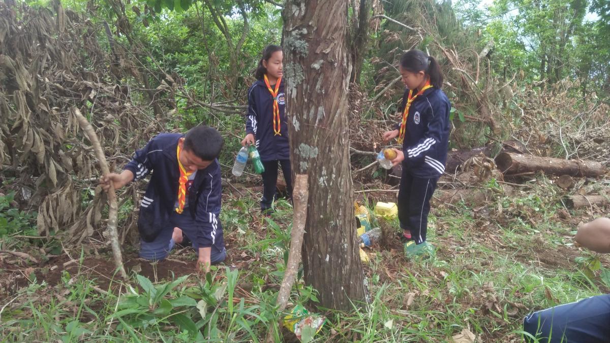 Social Forestry day