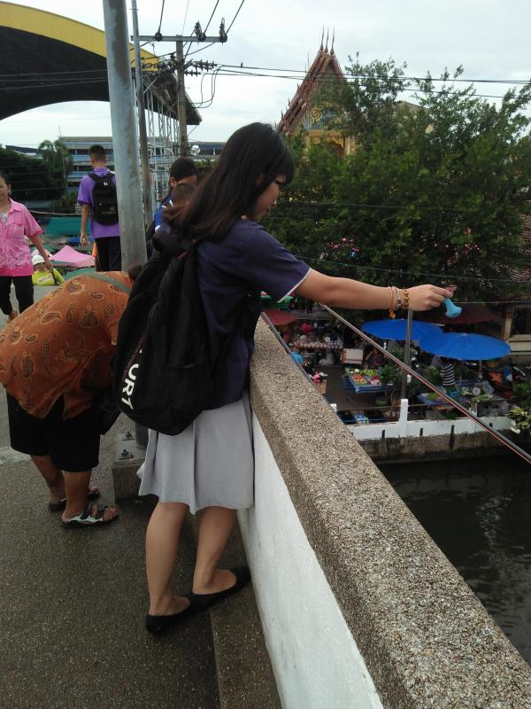ให้อาหารปลาที่วัดหนองแขม