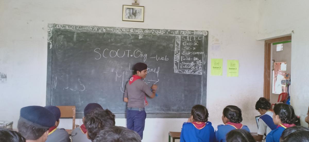 WHAT IS SCOUT. Org.  IT'S IMPORTANCE