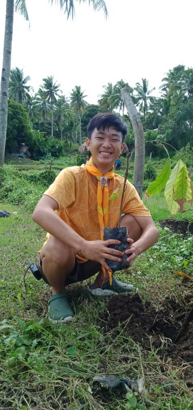 "Plant the young Cocoa Trees"