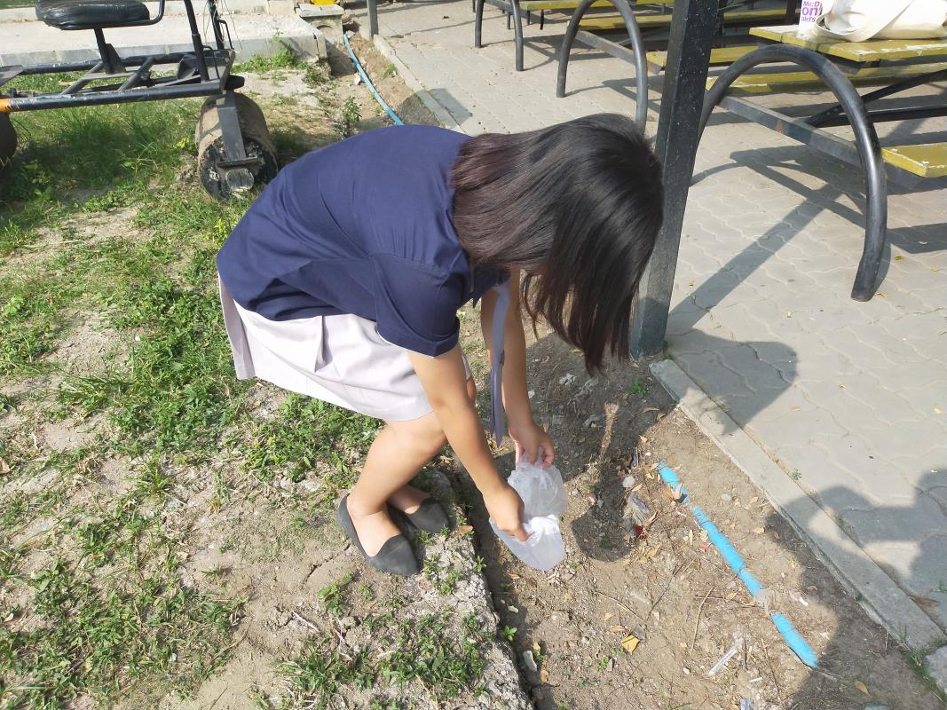 ทำความดีเก็บเศษขยะในสถานศึกษา