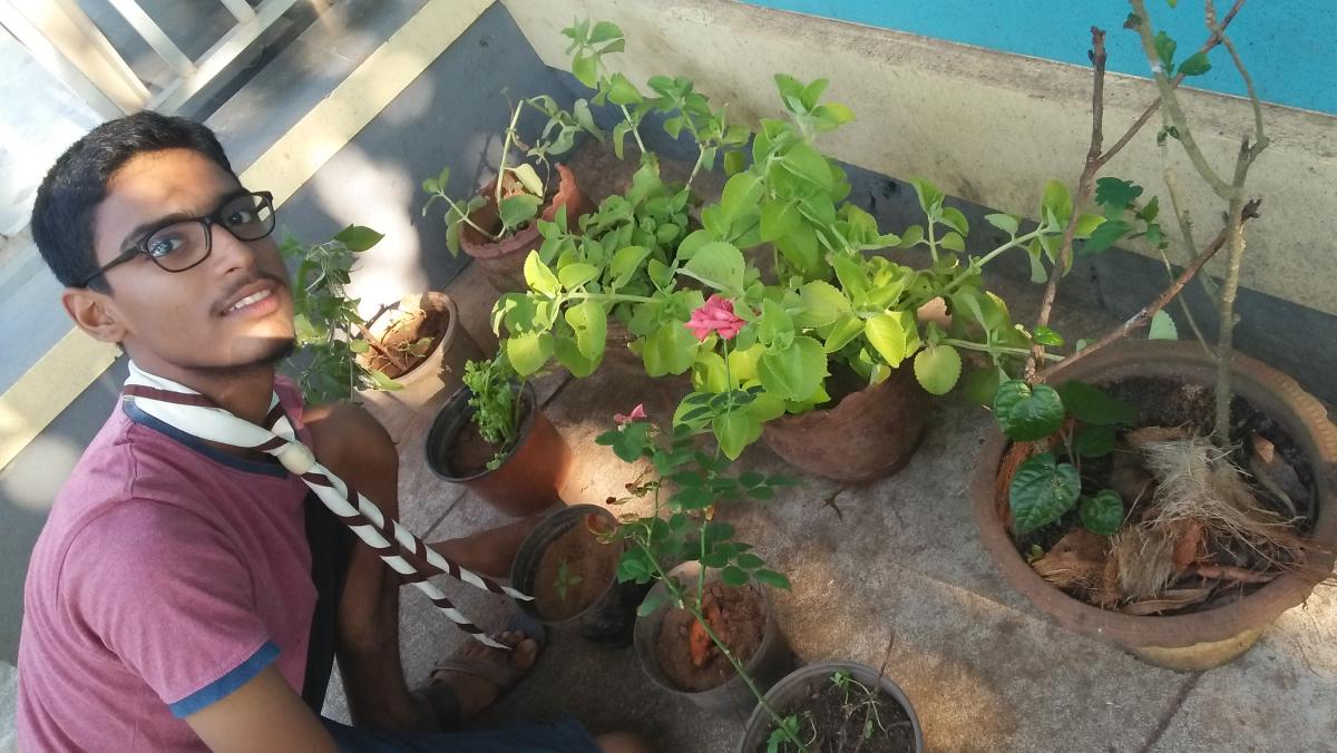 #go-organic#