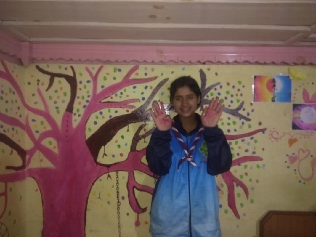 paint  my room wall