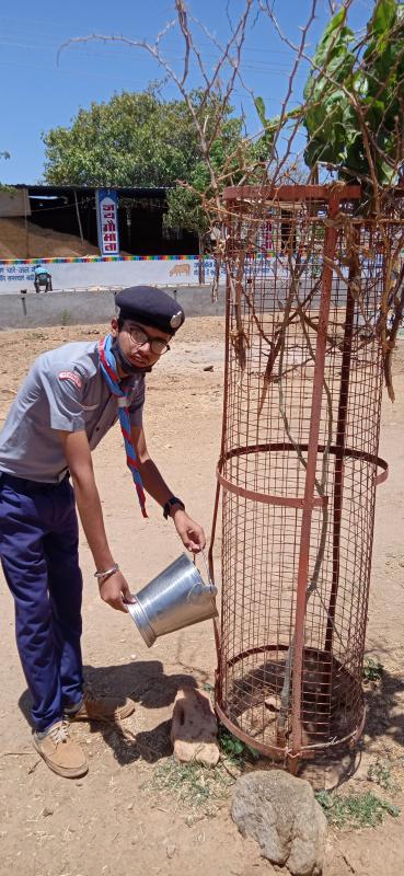 पर्यावरण और स्थिरता
चुनौती 4-