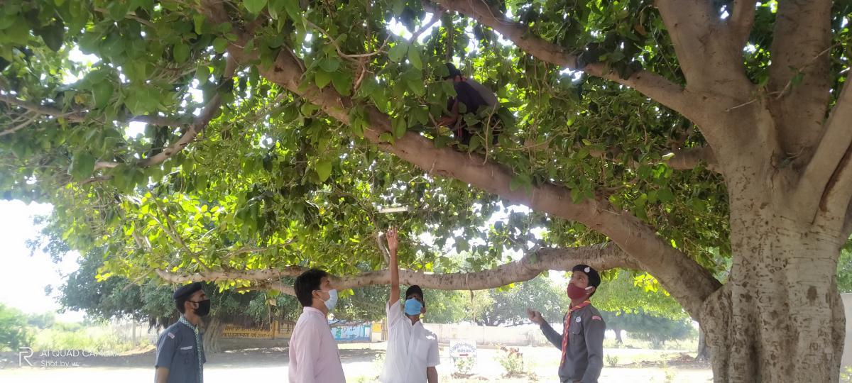 चुगापत्र लगाते हुए