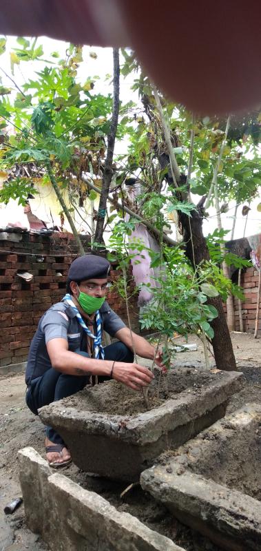 5 जून 2020 विश्व पर्यावरण दिवस