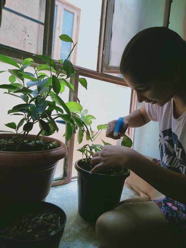 one more plant...