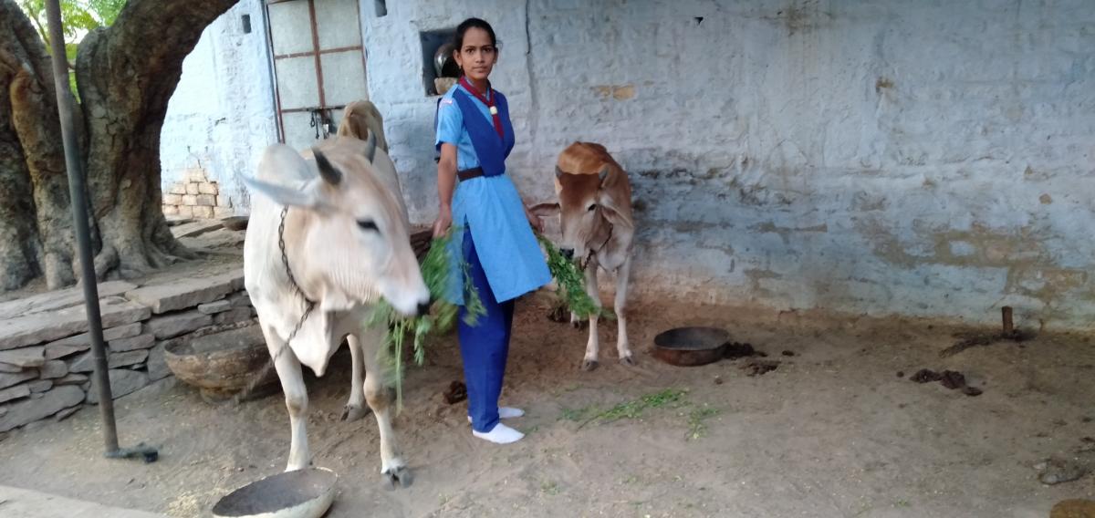 पशु पक्षियों गायों का  चुग्गा पात्र चारा BSG DHQ Jodhpur Rajasthan India