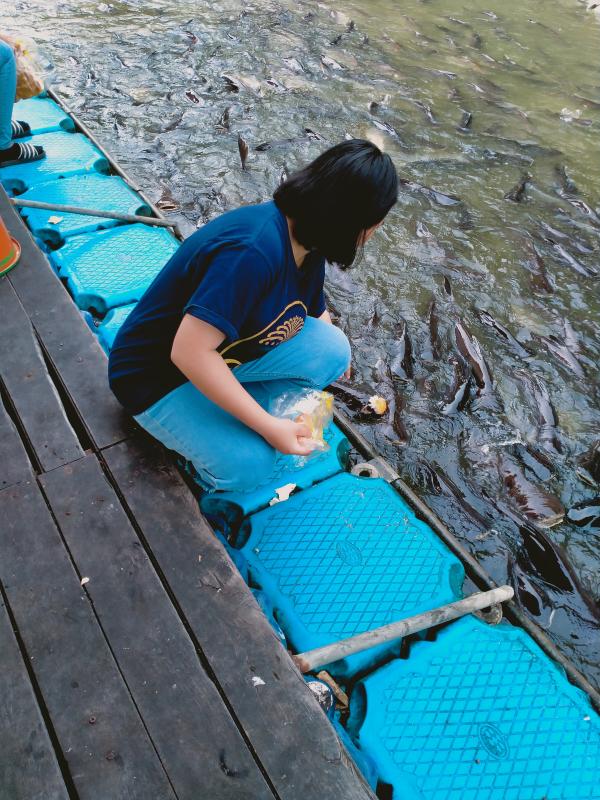 ทำความดีมอบอาหารให้ปลา