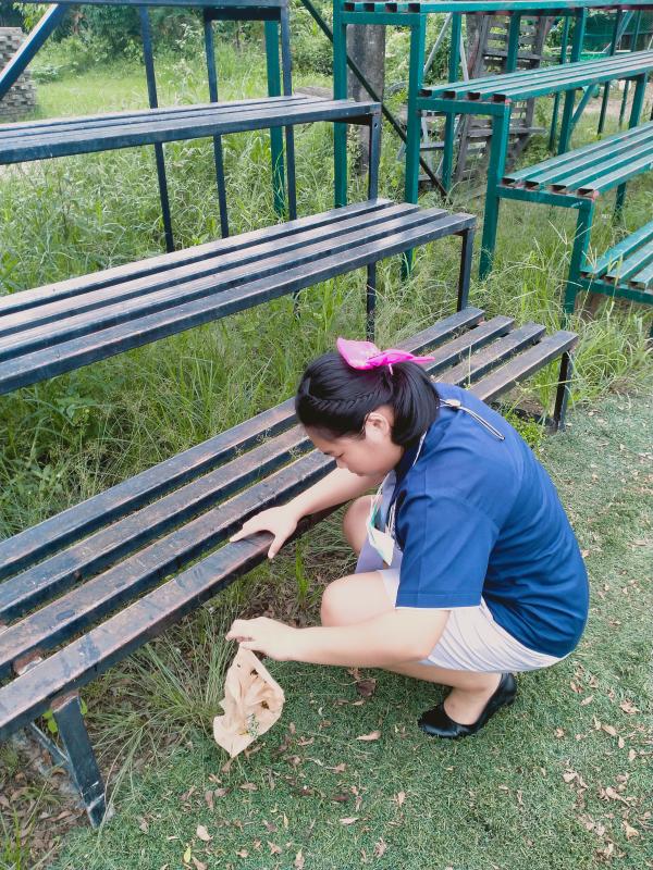 เก็บขยะที่วิทยาลัย
