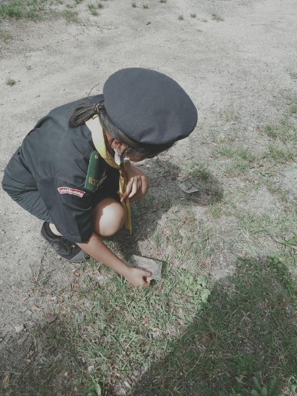 เก็บขยะสาธารณะ