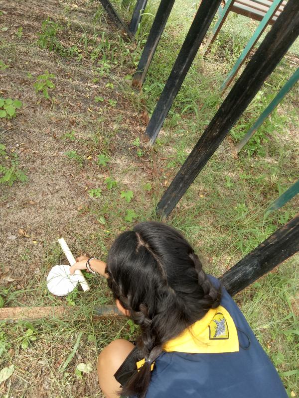 เก็บขยะ