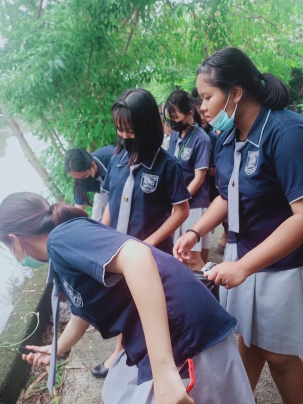 เก็บขยะ