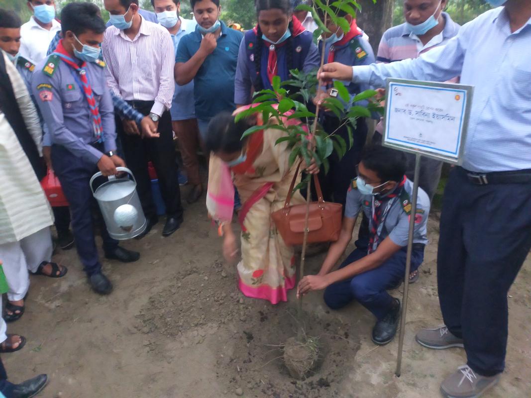 বৃক্ষরোপণ কর্মসূচি ২০২০