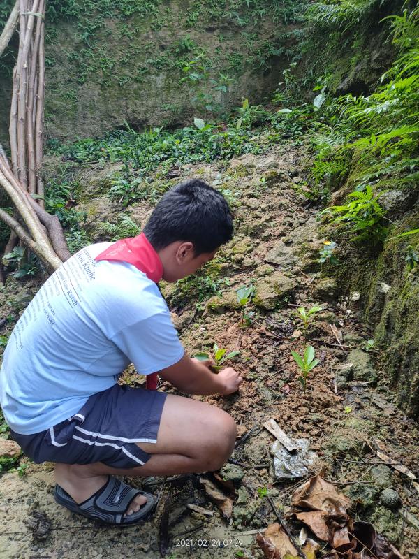 Community Service | Tree Planting and Cleaning