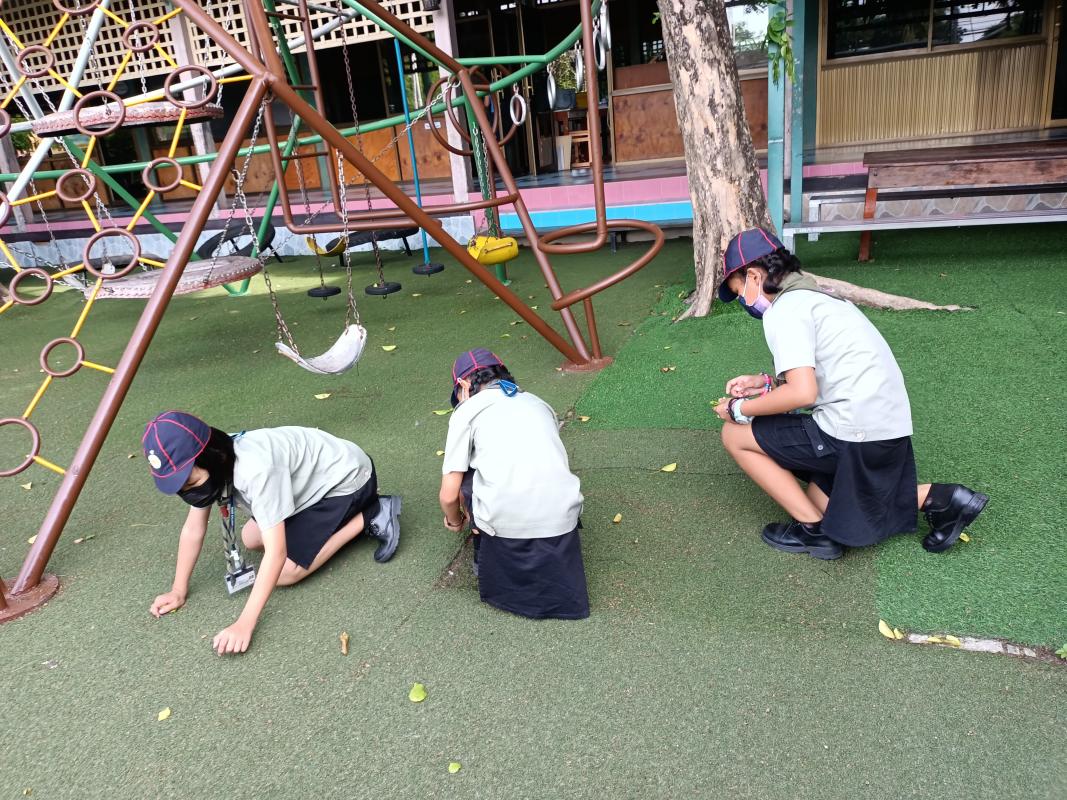 บำเพ็ญประโยชน์