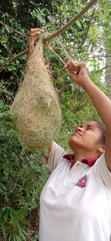 Putting the nest at the right place