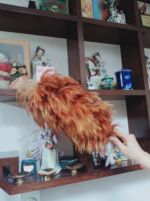 ปัดฝุ่น