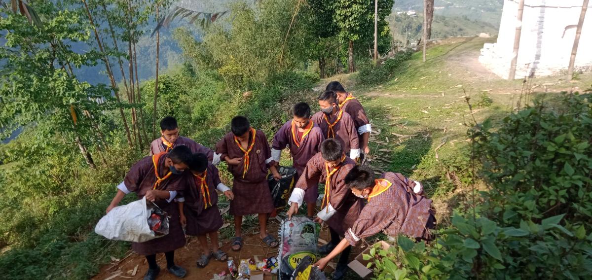 My  Contribution to Nature 