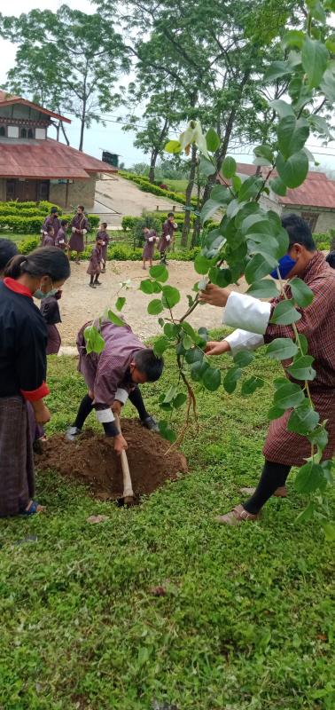 World Environment Day