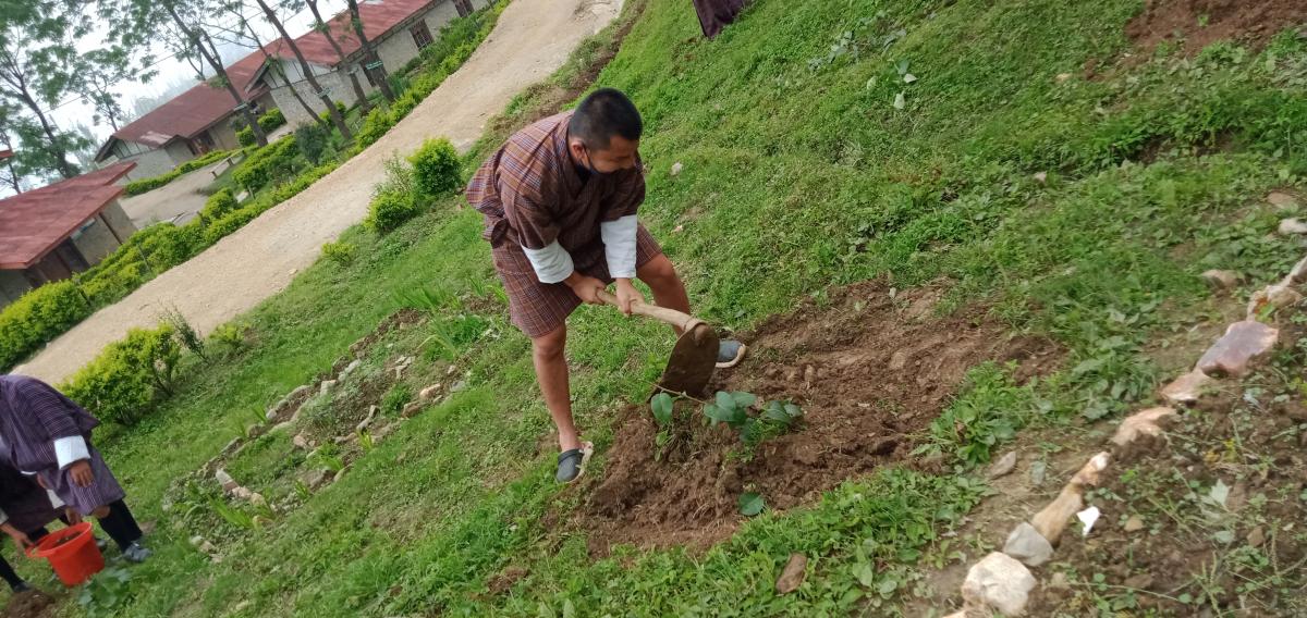 Bhutan scouts joins world in planting trees