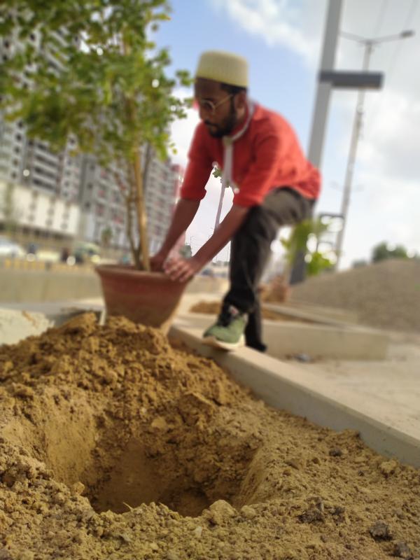 Planting trees to make earth colorfull