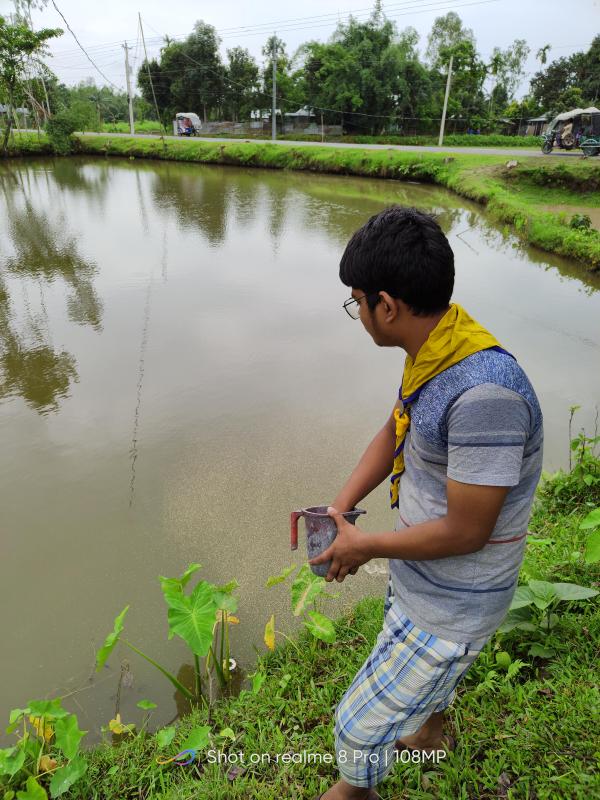 arrange food for fish