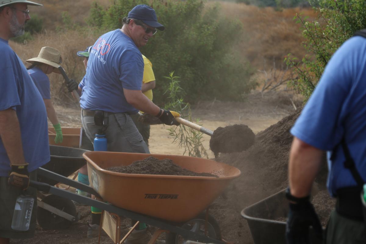 Orchard Clean Up and Rehabilitation
