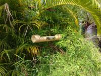 Natural Conservation 