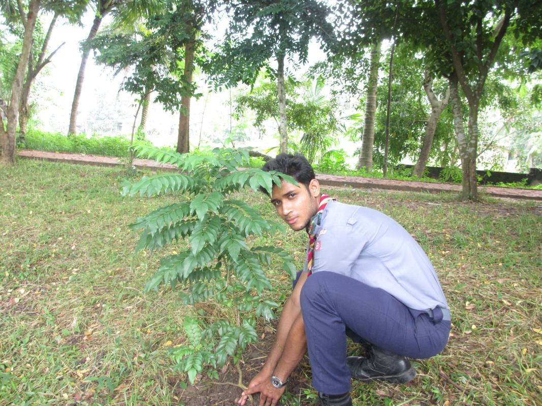 Tree Planting 