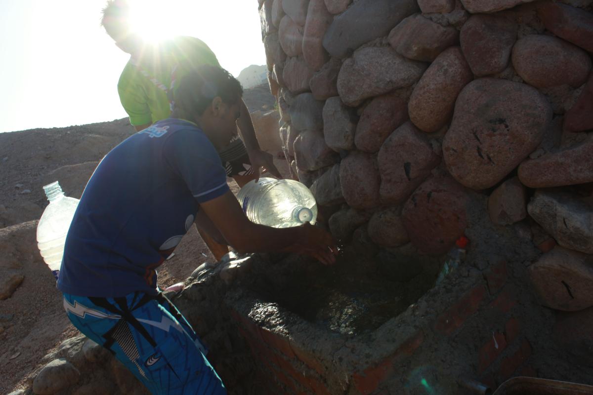 WSEP-Egypt : Zero Plastic Project