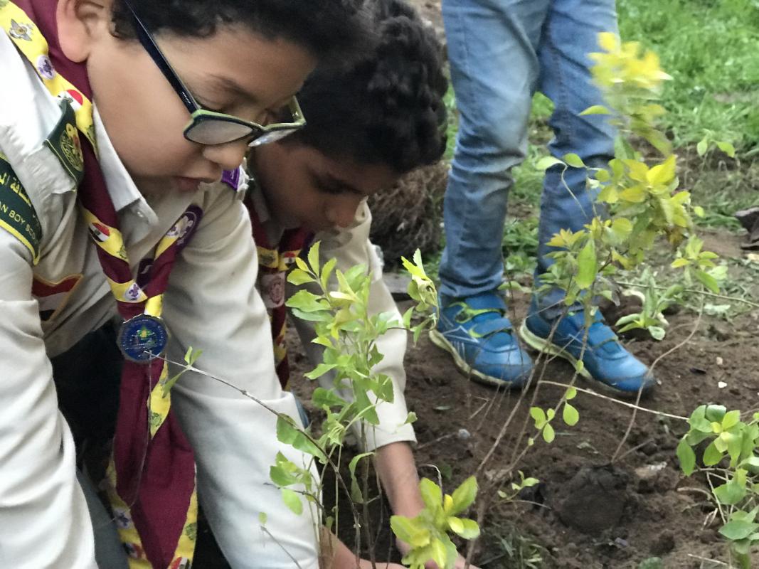 planting project