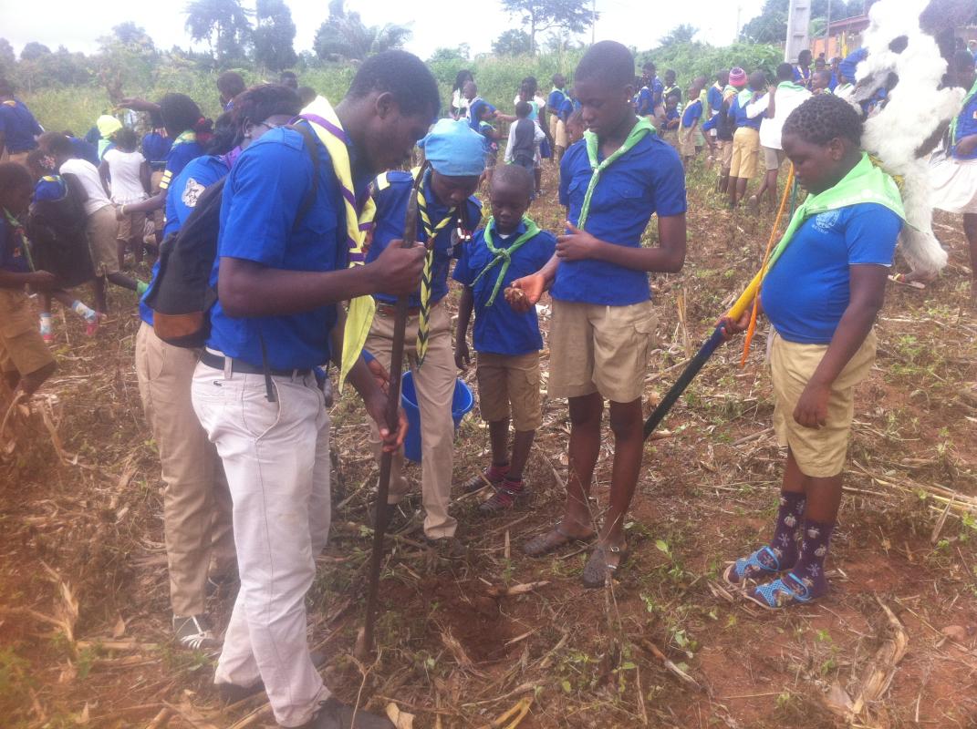  "one Tree for Peace" 