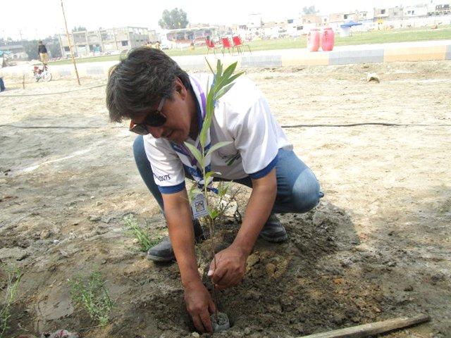 GO GREEN  (Tree for life)