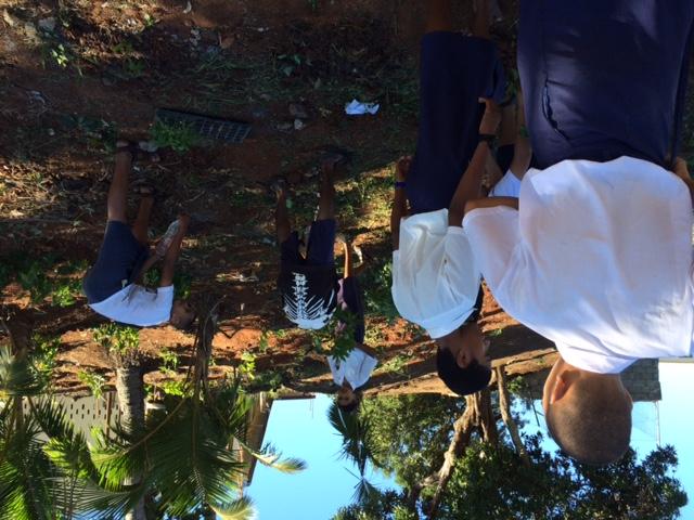 GREEN SCHOOL PROGRAMME