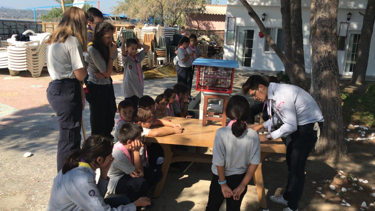 "GOLDBERG MACHINE" Challenge