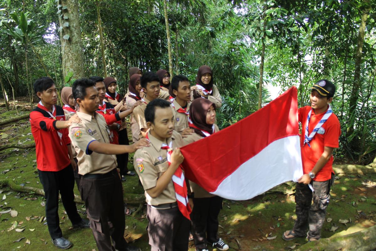 Born to be Scouts