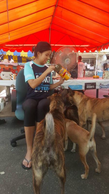 Visits to PAWS