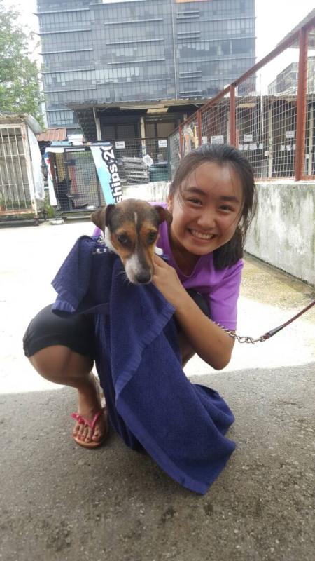 Aaron's Visit To PAWS 2.0