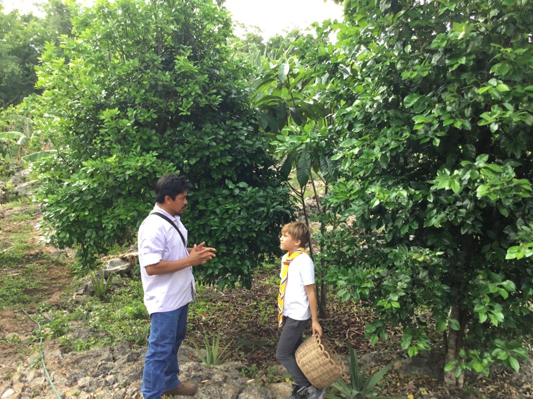 Scouting: los Mayas