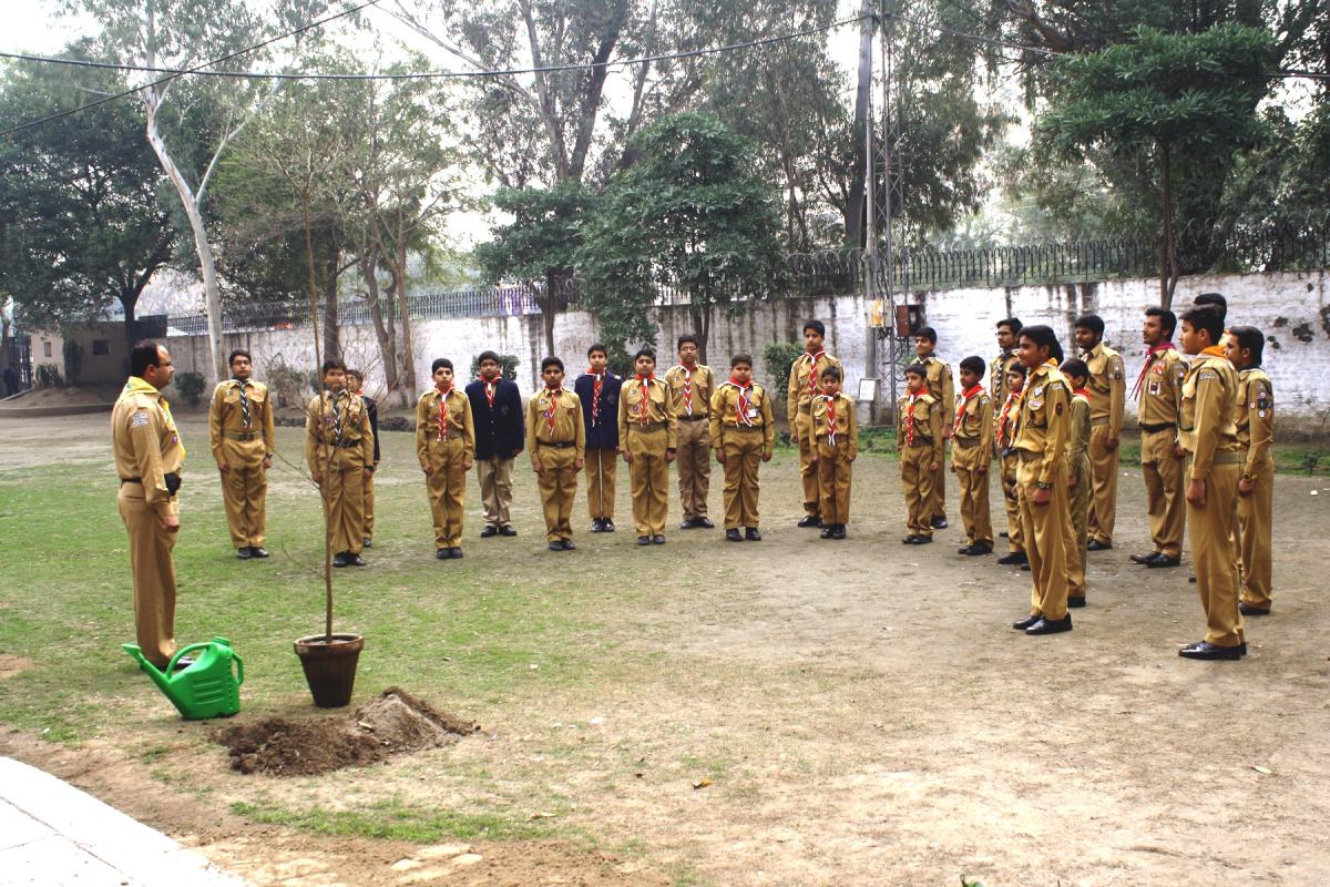 Environment Protection by Tree Plantation