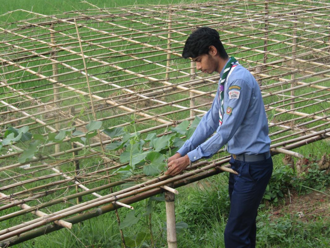 HAM-Amateur Radio Orientation