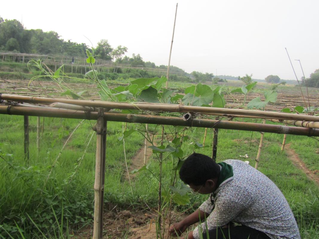 Brighton Venturers Outfit 1012-School Brigade, Manila