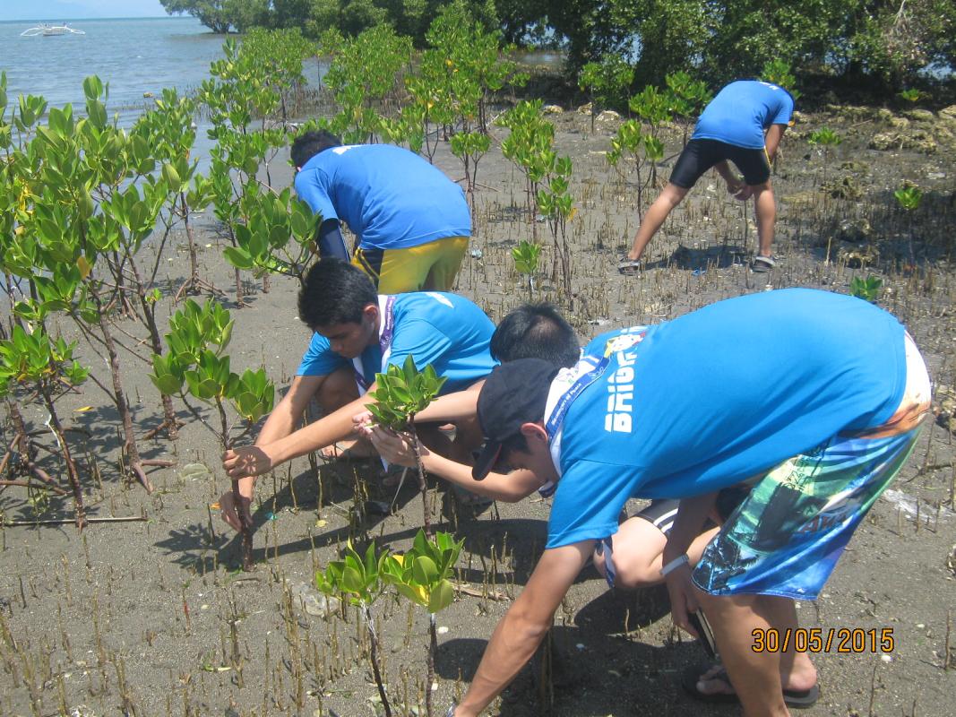 Coastal Clean-up (Brighton Venturers Outfit 1012)