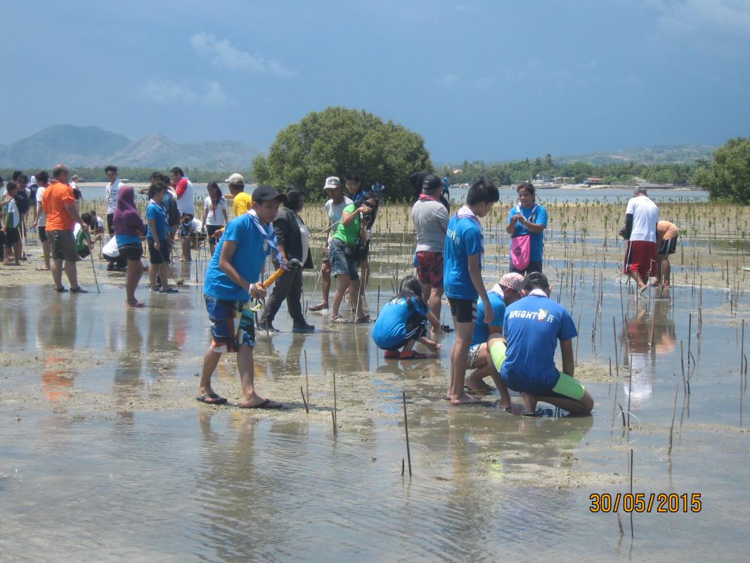 Brighton Venturers Outfit 1012-Mangrove Tree Planting