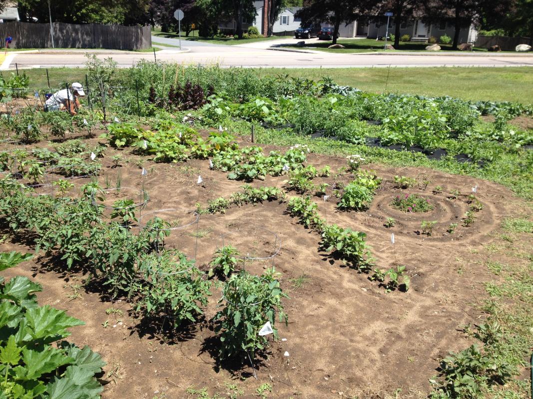 Pack 78 Framingham, MA - 2014 Victory Over Hunger Garden