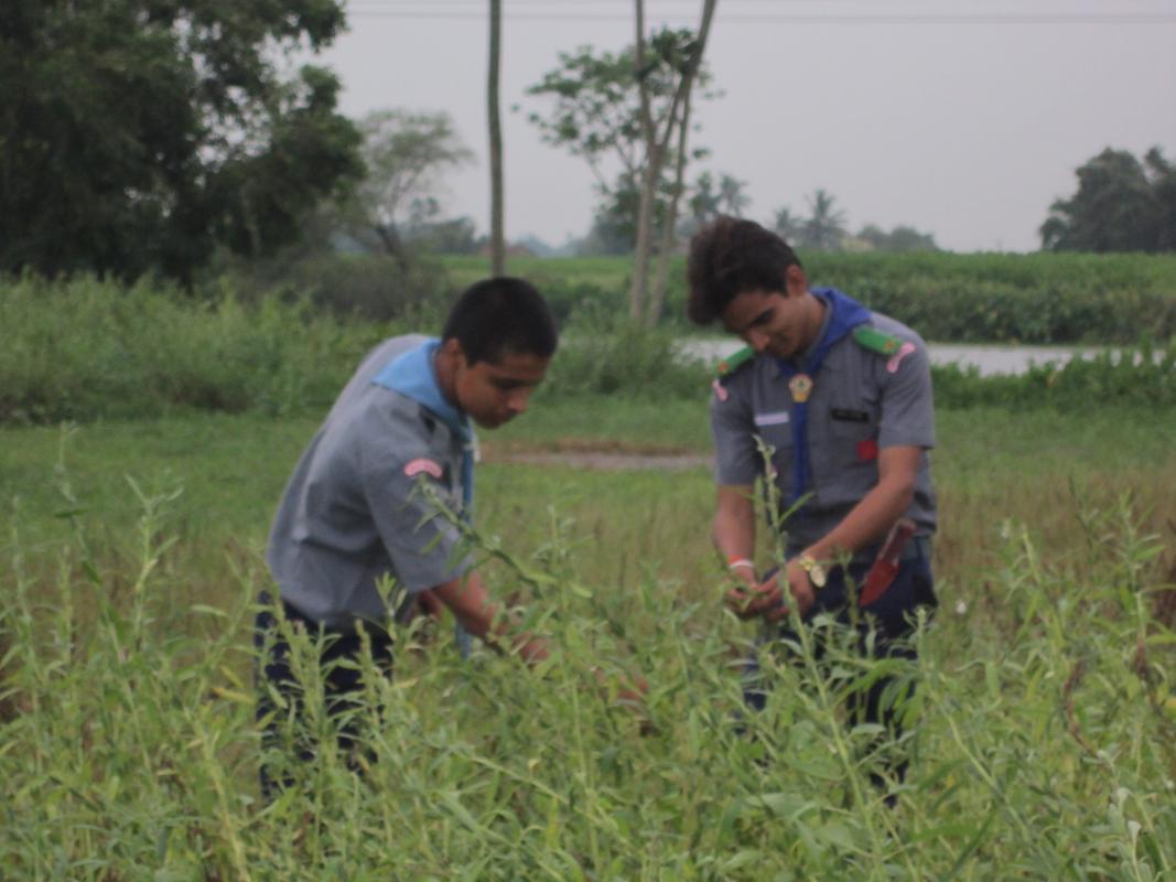 HELPING FARMER 