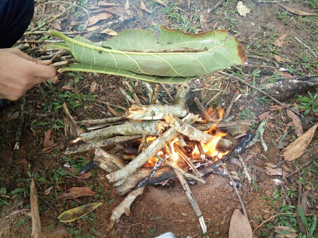 MASAKAN RIMBA