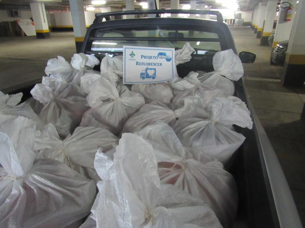 Doação de alimentos e livros a moradores da Comunidade da Rocinha e instituições sociais - Projeto Reflorescer