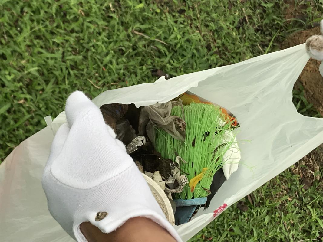 Picking Up Rubbish in my neighbourhood